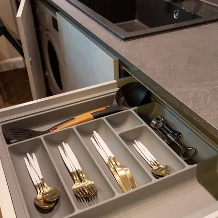 Calea Floreasca 77 1 公寓 4*